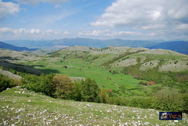 la valle delle orchidee.JPG
